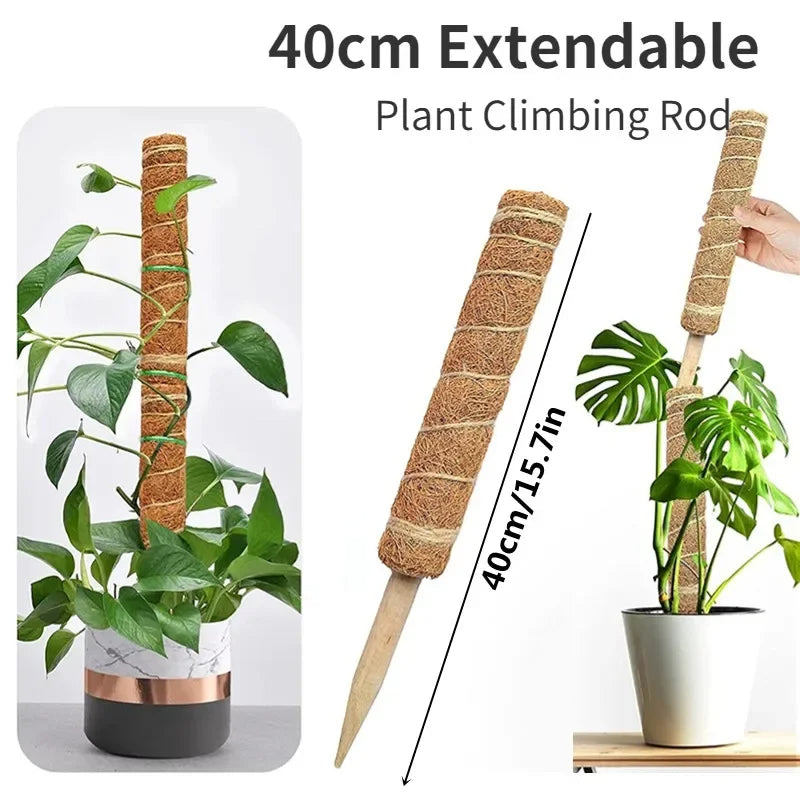 Bendable Plant Moss Coir Pole, Climbing Support Stick for Indoor & Balcony Vines