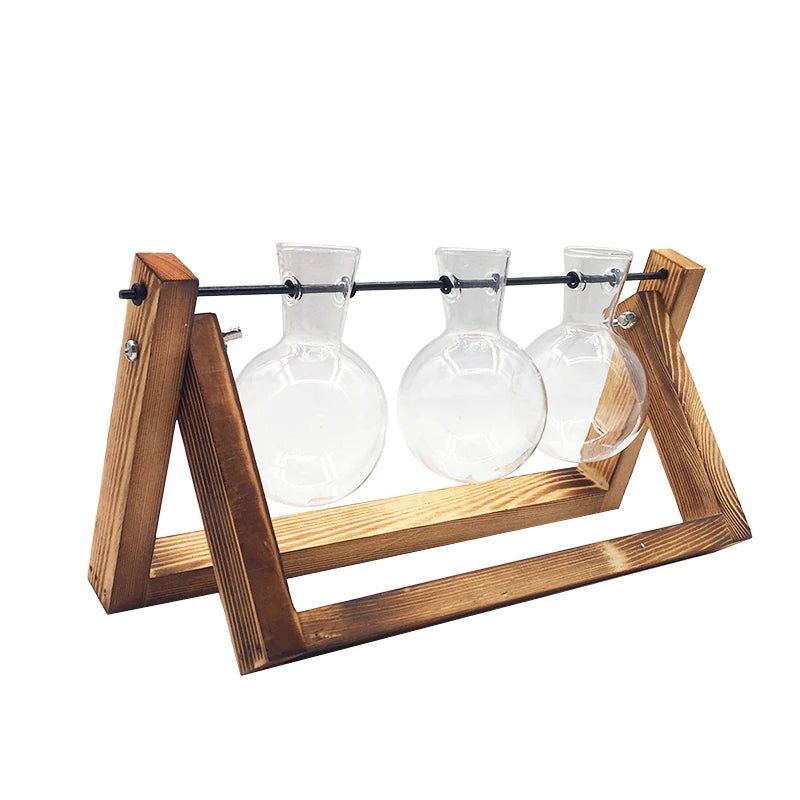 Terrarium Hydroponic Plant Vase, Transparent Glass with Wooden Frame, Decorative Bonsai Tabletop Vase