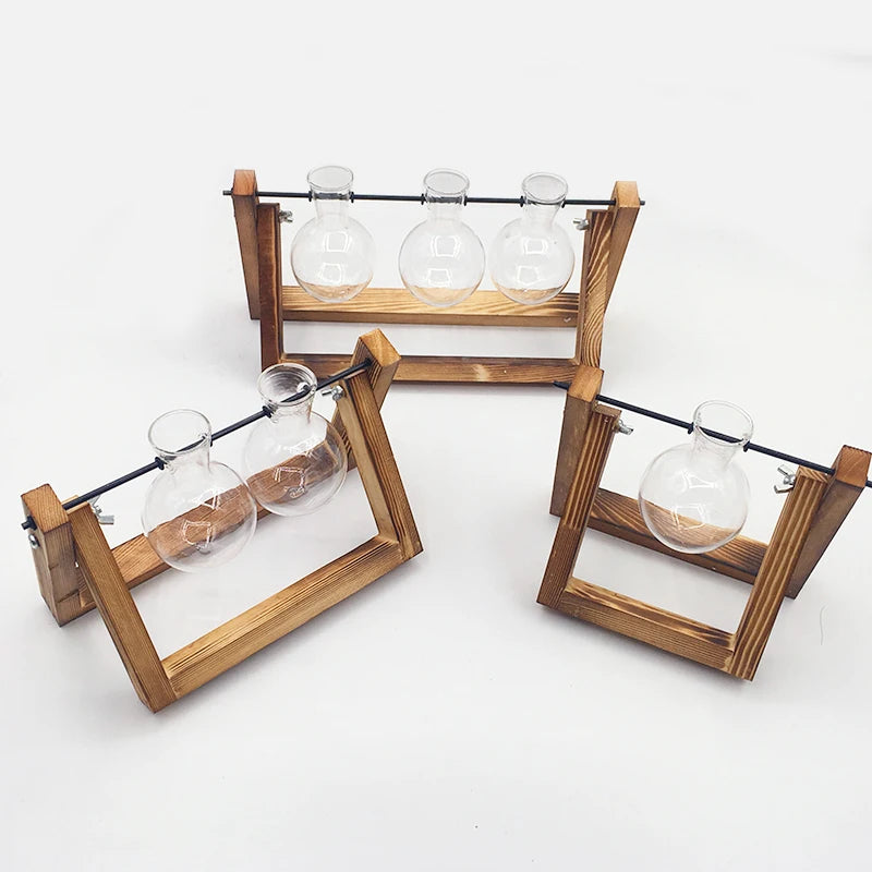Terrarium Hydroponic Plant Vase, Transparent Glass with Wooden Frame, Decorative Bonsai Tabletop Vase