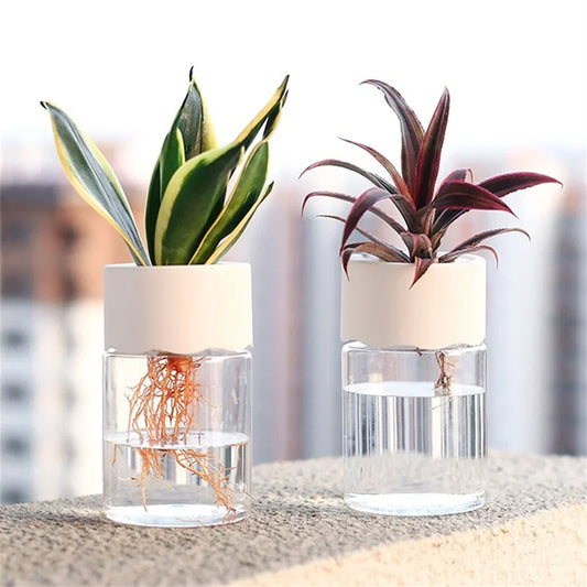 Mini Hydroponic Flower Pot - Transparent Imitation Glass Soilless Plant Vase for Home Decor