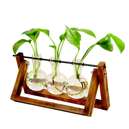 Terrarium Hydroponic Plant Vase, Transparent Glass with Wooden Frame, Decorative Bonsai Tabletop Vase