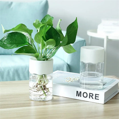 Mini Hydroponic Flower Pot - Transparent Imitation Glass Soilless Plant Vase for Home Decor