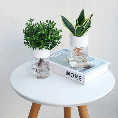 Mini Hydroponic Flower Pot - Transparent Imitation Glass Soilless Plant Vase for Home Decor