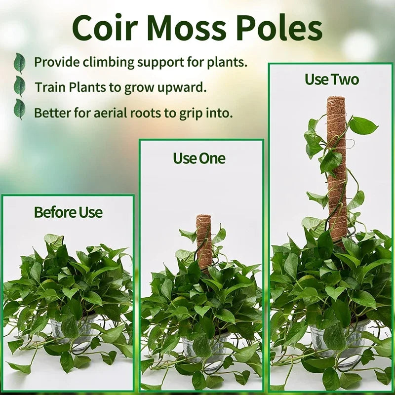 Bendable Plant Moss Coir Pole, Climbing Support Stick for Indoor & Balcony Vines