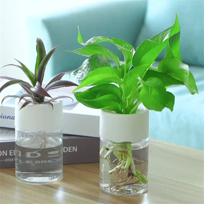 Mini Hydroponic Flower Pot - Transparent Imitation Glass Soilless Plant Vase for Home Decor