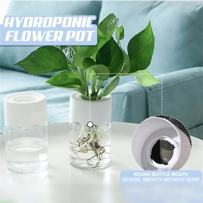 Mini Hydroponic Flower Pot - Transparent Imitation Glass Soilless Plant Vase for Home Decor