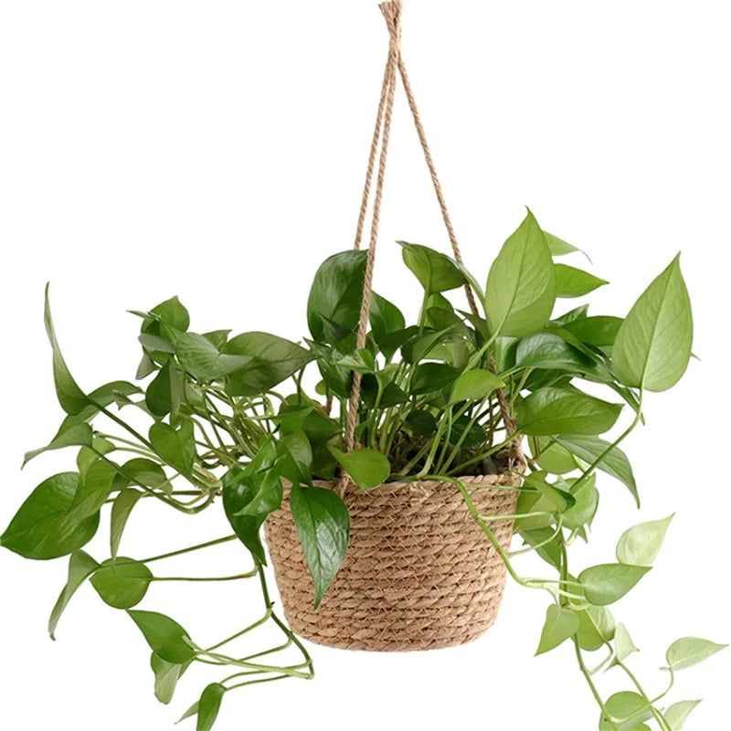 Macrame Hanging Planter, Jute Rope Woven Plant Basket for Indoor & Outdoor Use